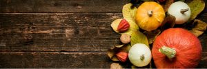 Happy Thanksgiving Banner